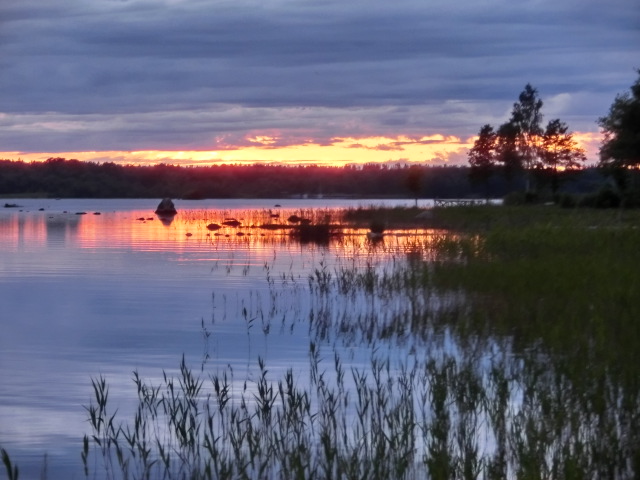 Kalvsviksfjorden